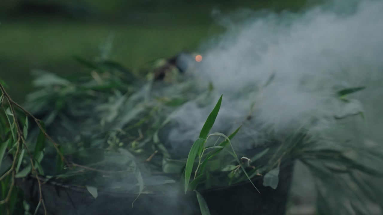 Video preview