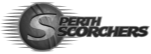 Perth Scorchers